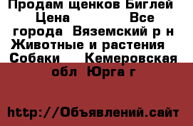 Продам щенков Биглей › Цена ­ 15 000 - Все города, Вяземский р-н Животные и растения » Собаки   . Кемеровская обл.,Юрга г.